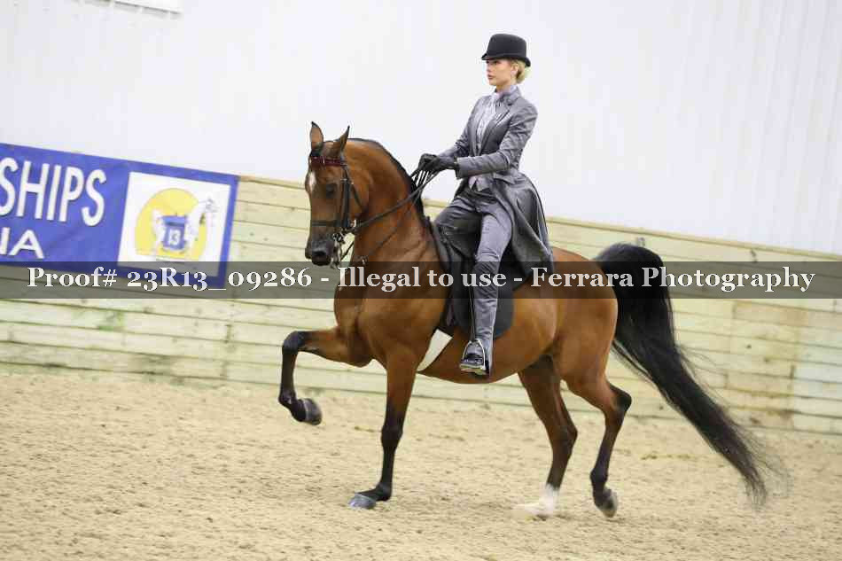 Proof 23R13_09286