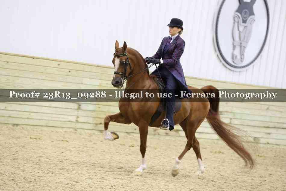 Proof 23R13_09288