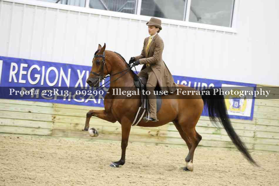Proof 23R13_09290