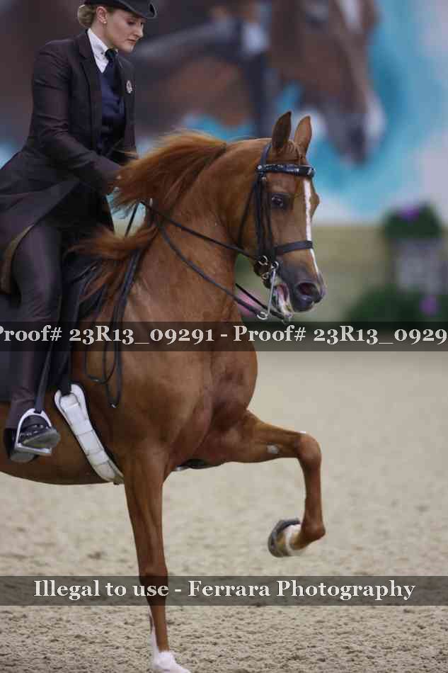 Proof 23R13_09291