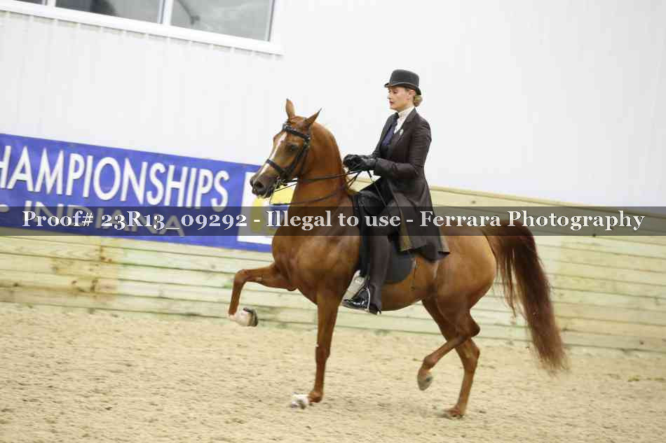 Proof 23R13_09292