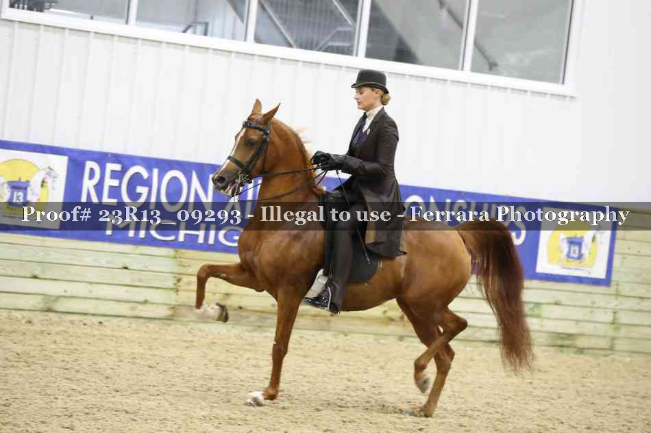 Proof 23R13_09293