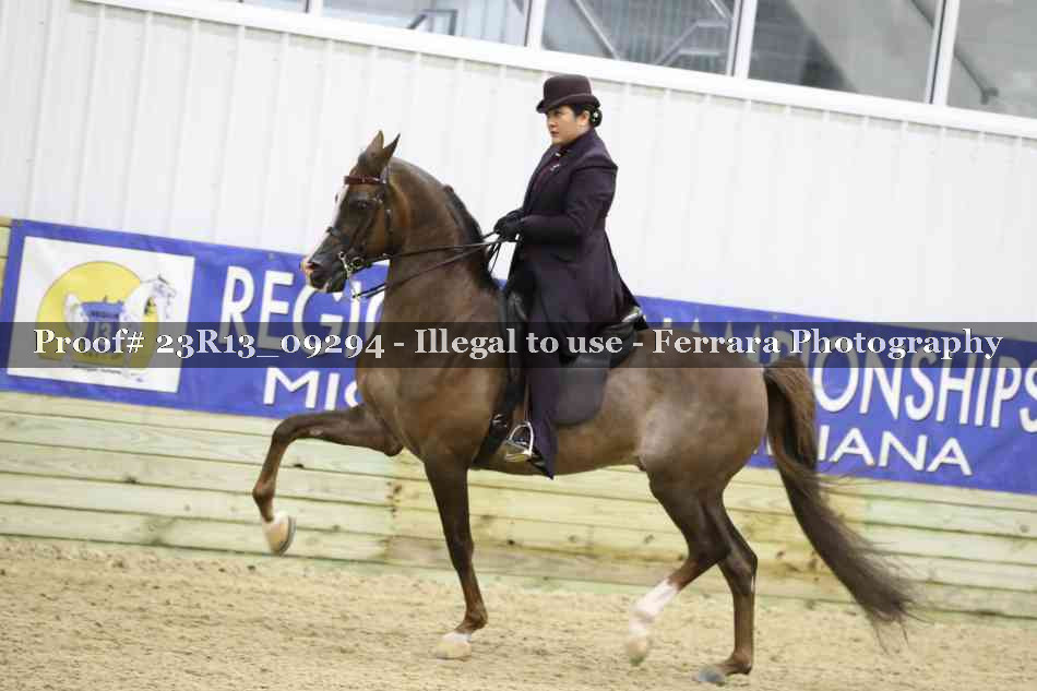 Proof 23R13_09294