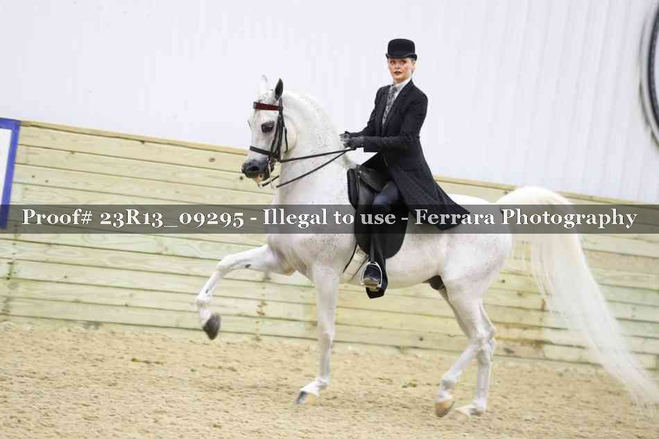 Proof 23R13_09295