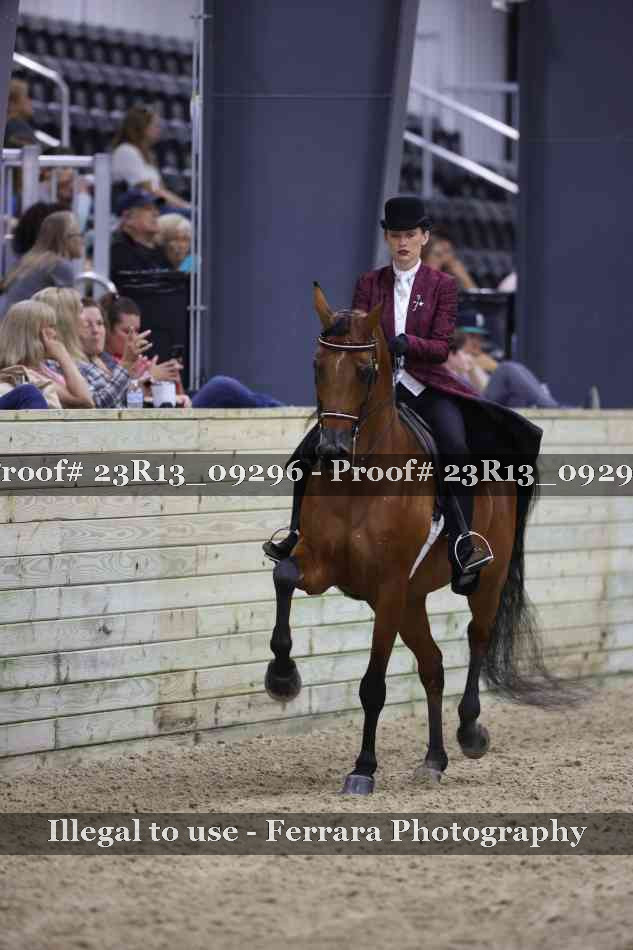 Proof 23R13_09296