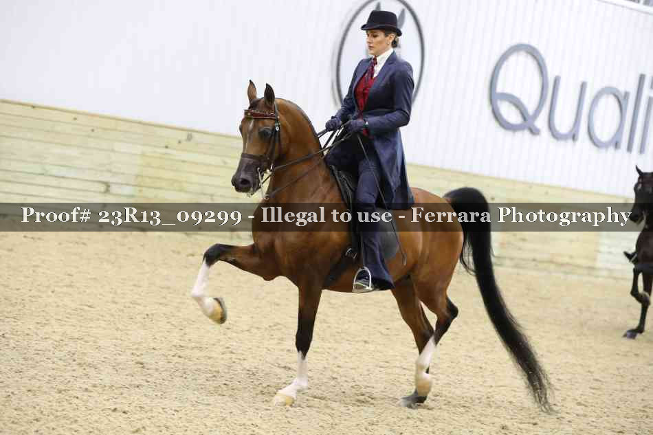 Proof 23R13_09299