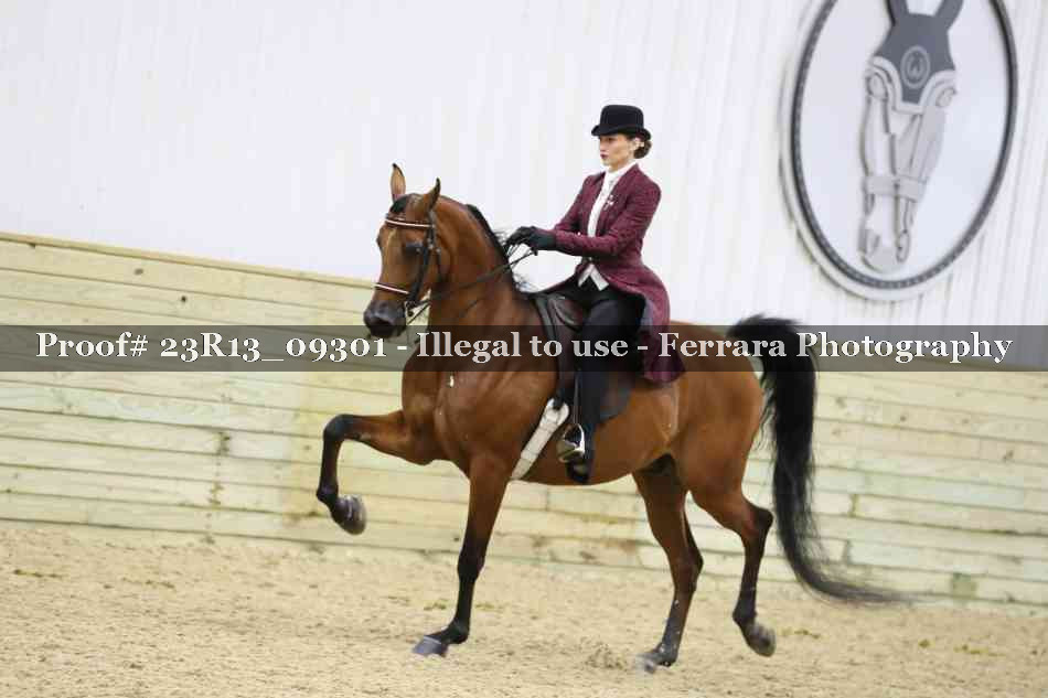 Proof 23R13_09301