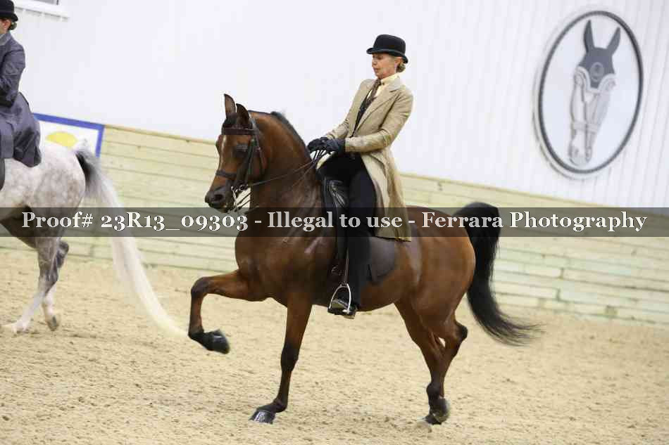 Proof 23R13_09303