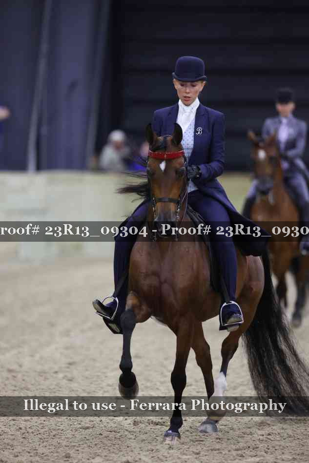 Proof 23R13_09304