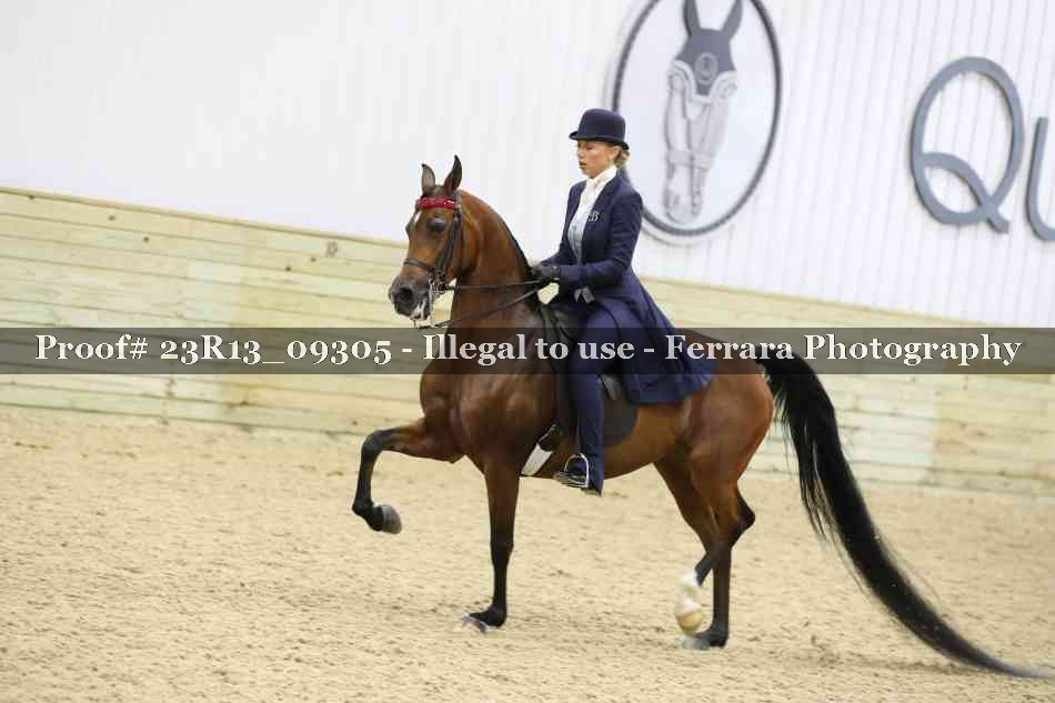 Proof 23R13_09305