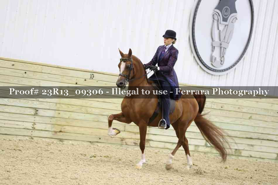 Proof 23R13_09306