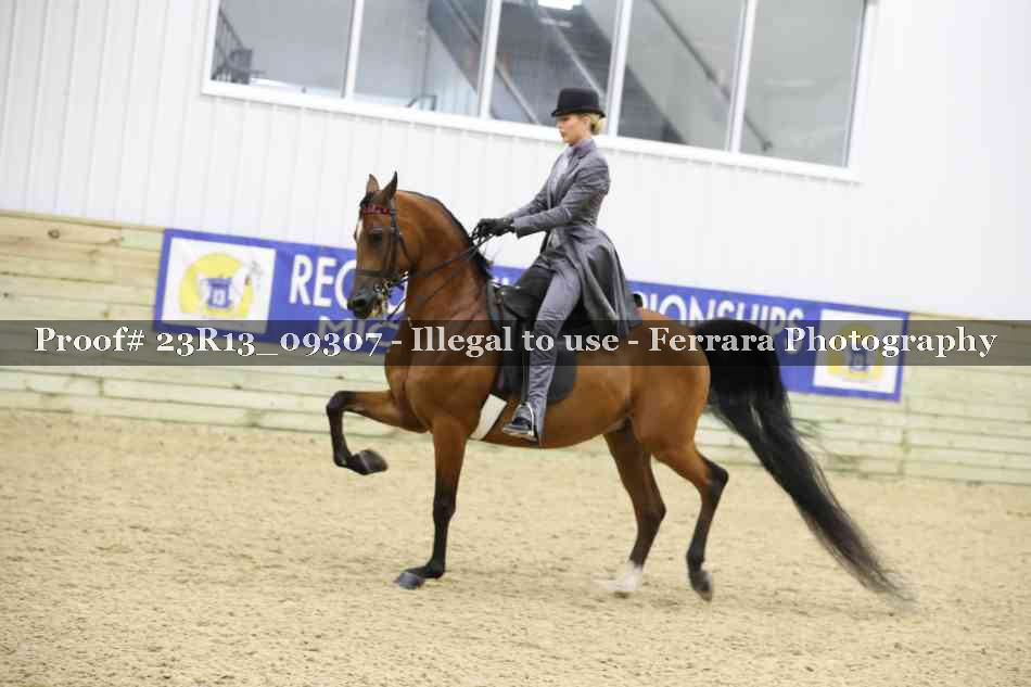 Proof 23R13_09307