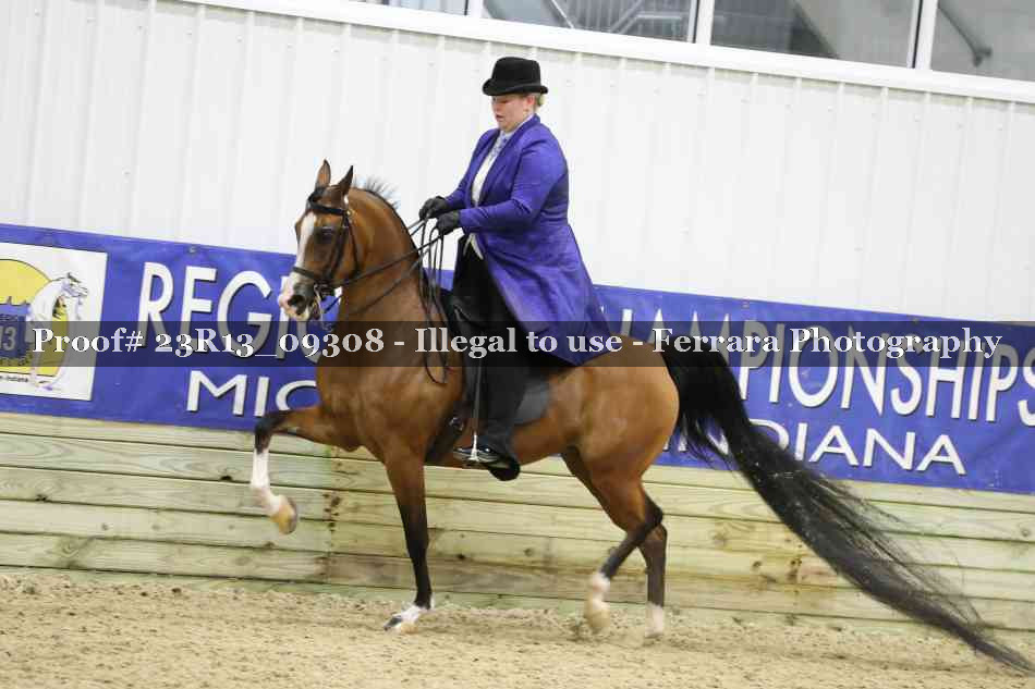 Proof 23R13_09308