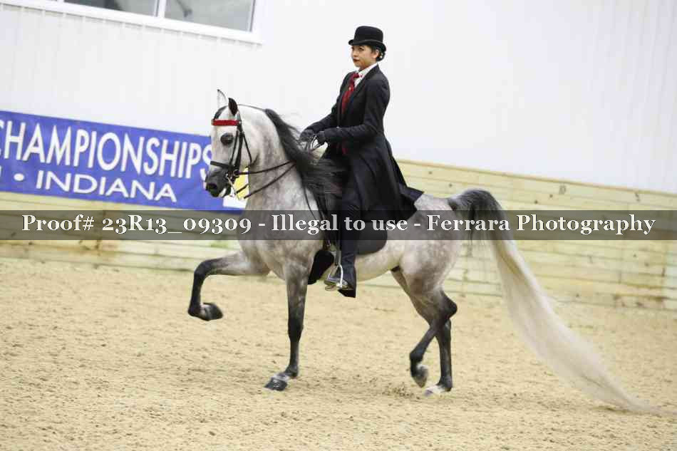 Proof 23R13_09309