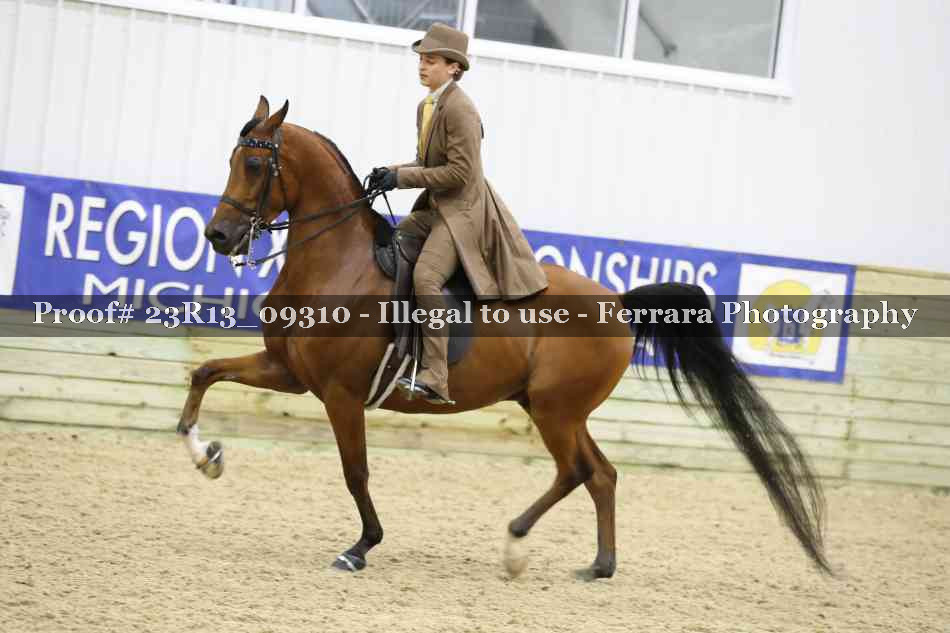 Proof 23R13_09310