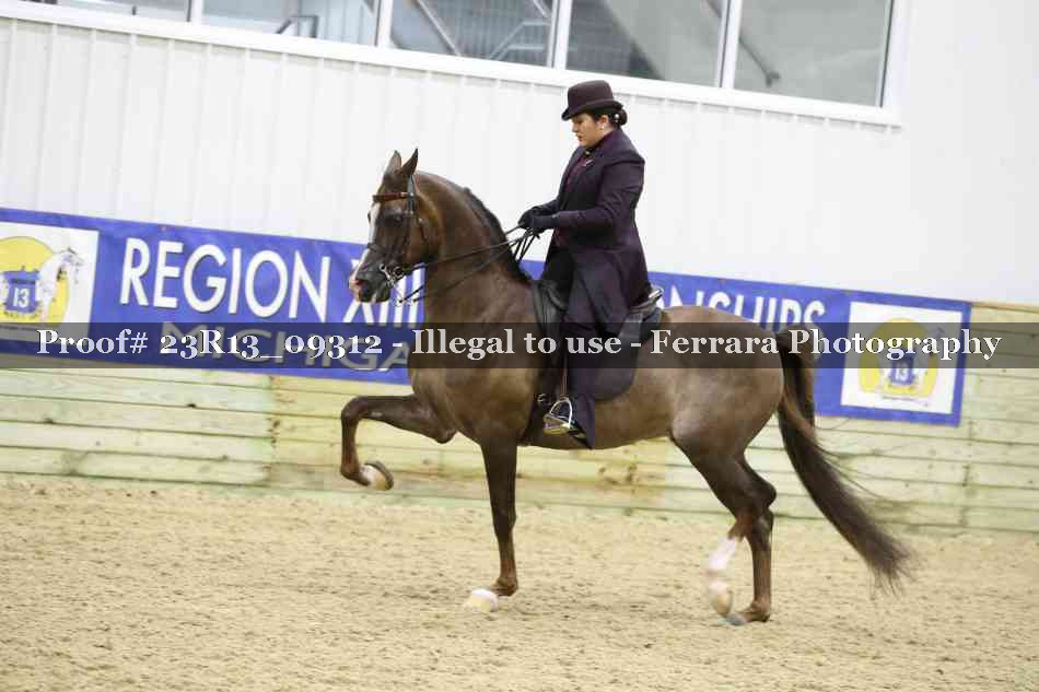 Proof 23R13_09312