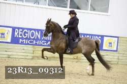 23R13_09312 proof