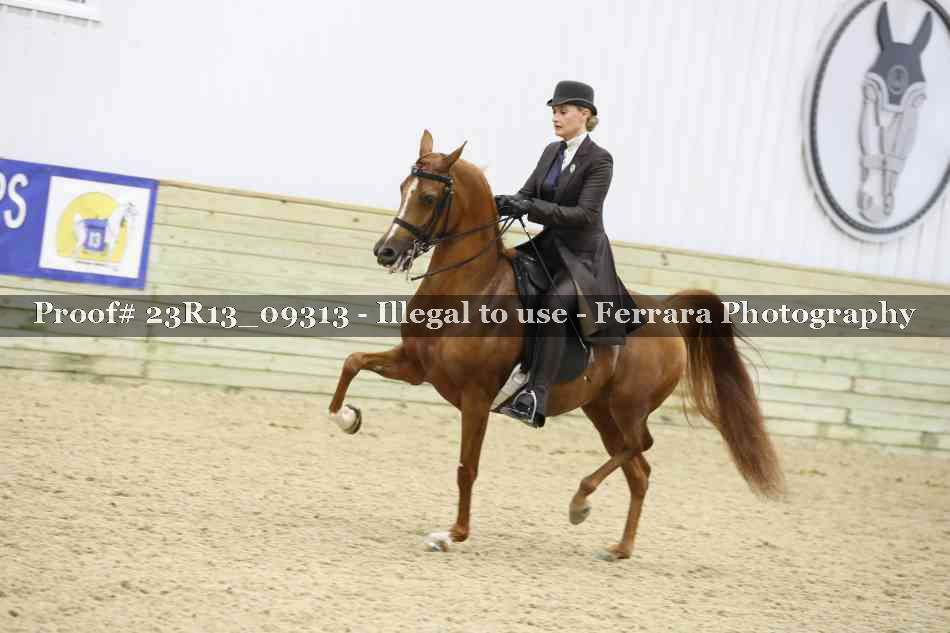 Proof 23R13_09313