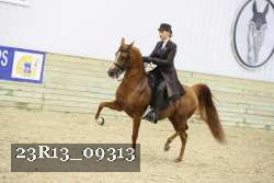 23R13_09313 proof
