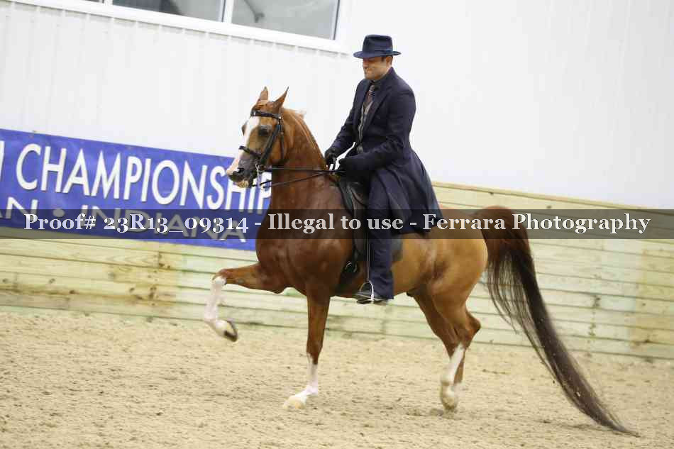 Proof 23R13_09314