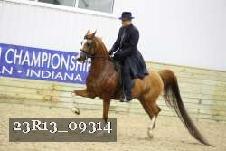 23R13_09314 proof