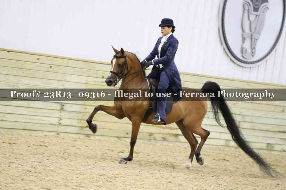 Proof 23R13_09316