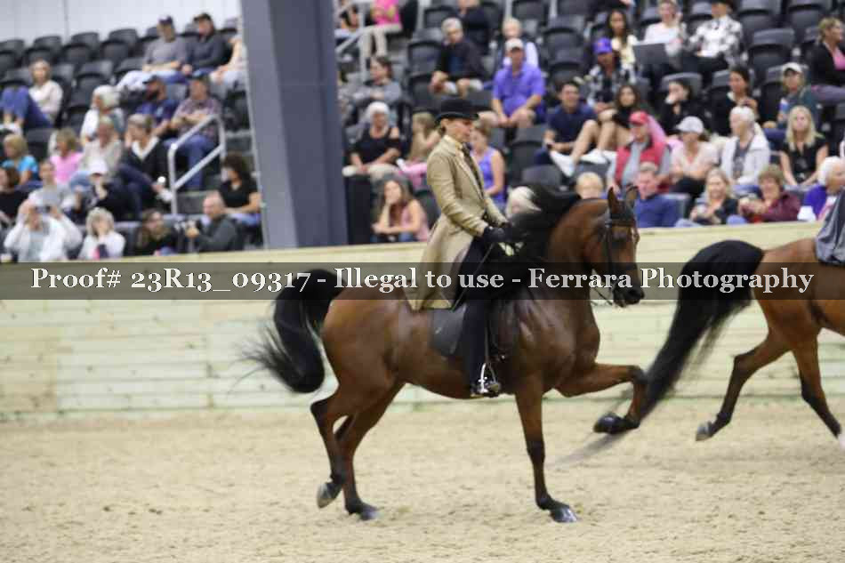 Proof 23R13_09317