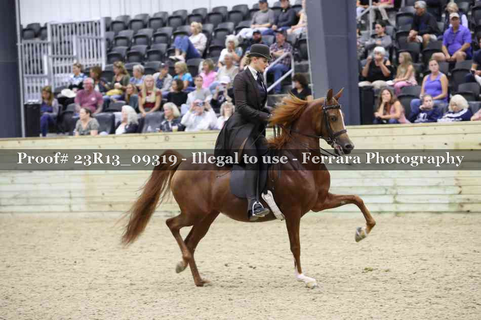 Proof 23R13_09319