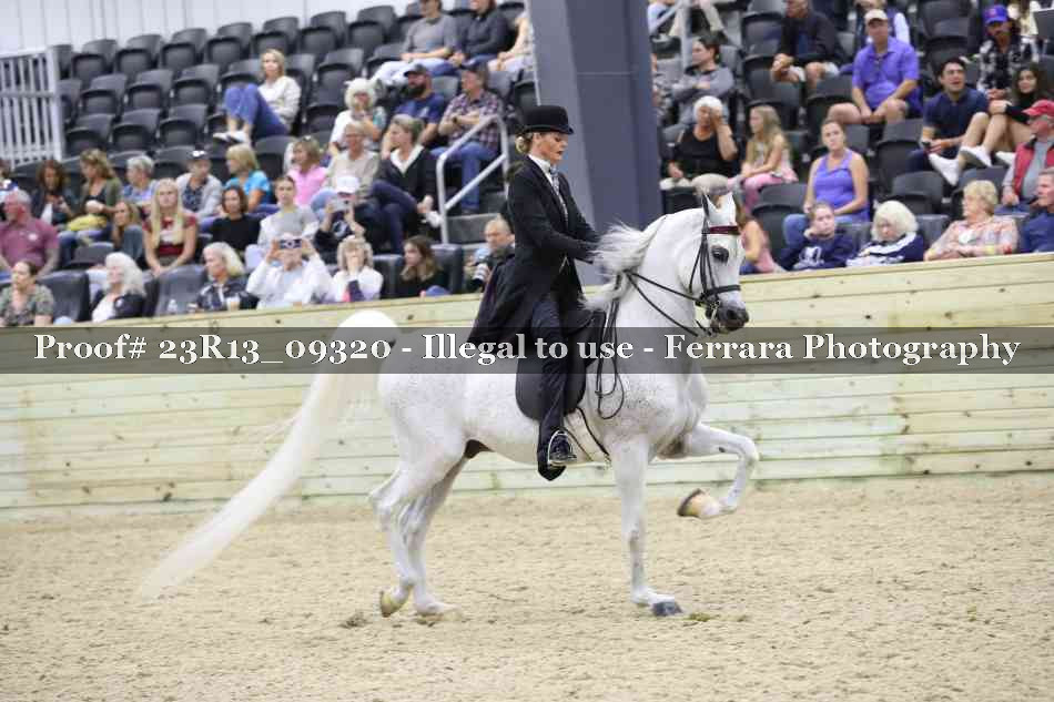Proof 23R13_09320