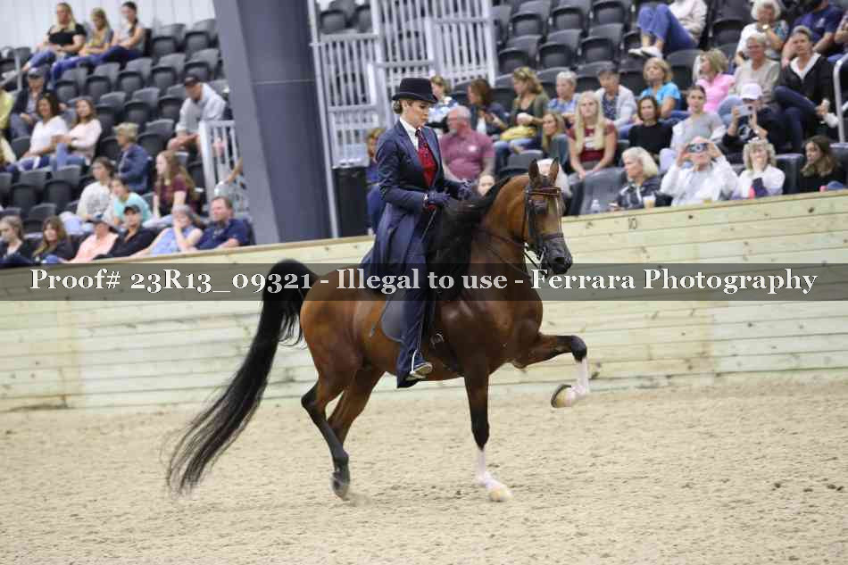 Proof 23R13_09321