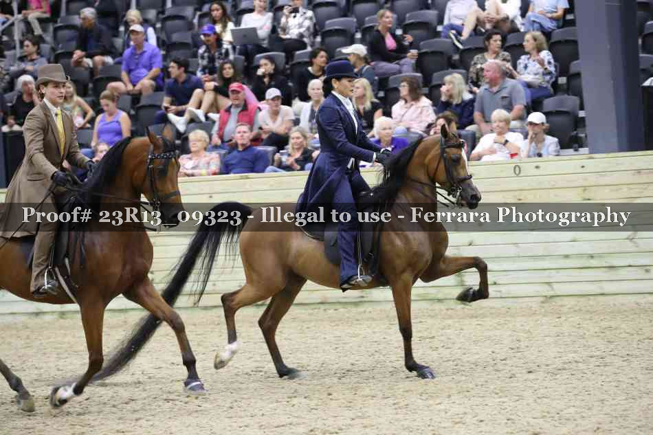 Proof 23R13_09323