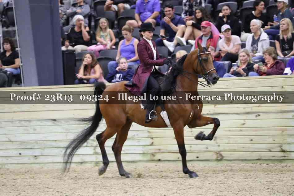 Proof 23R13_09324