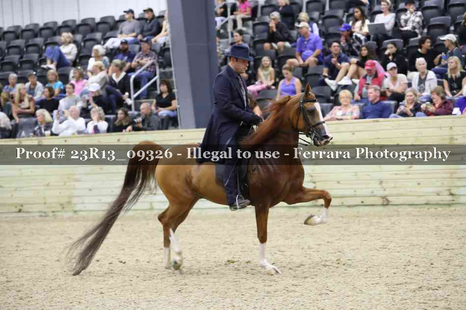 Proof 23R13_09326