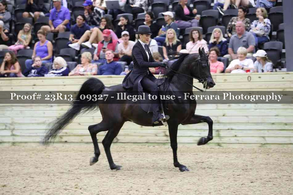 Proof 23R13_09327