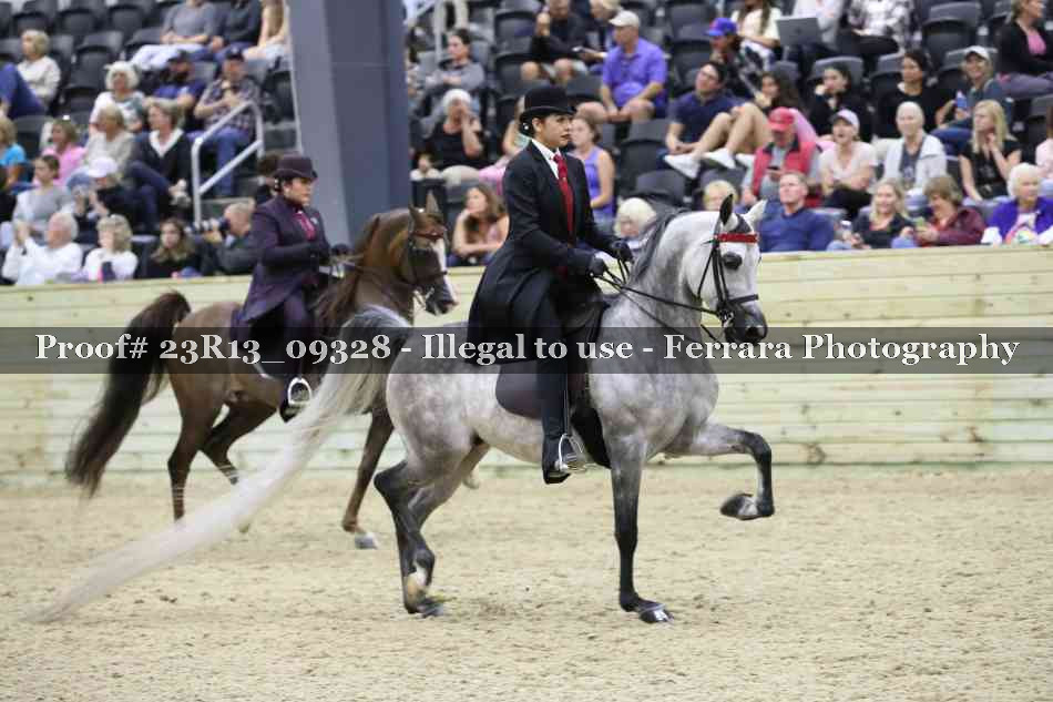Proof 23R13_09328