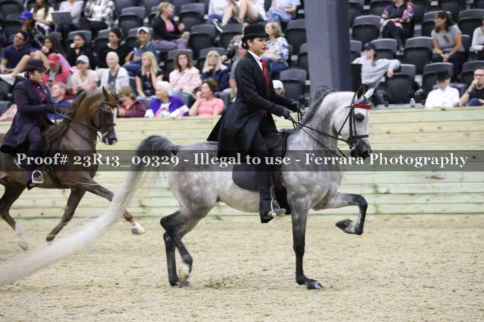 Proof 23R13_09329