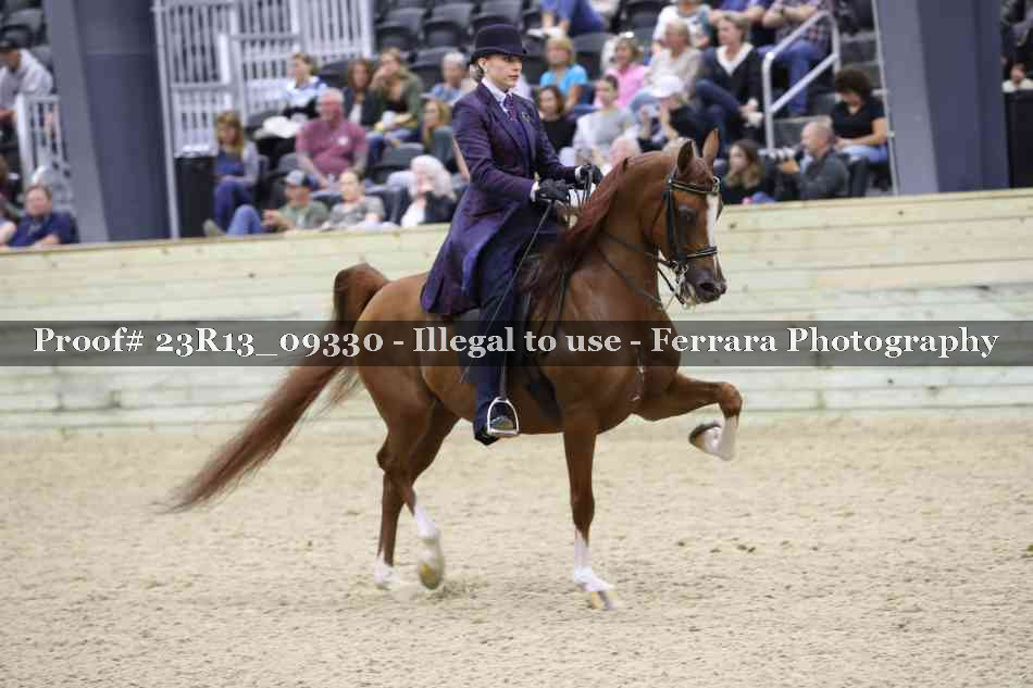 Proof 23R13_09330