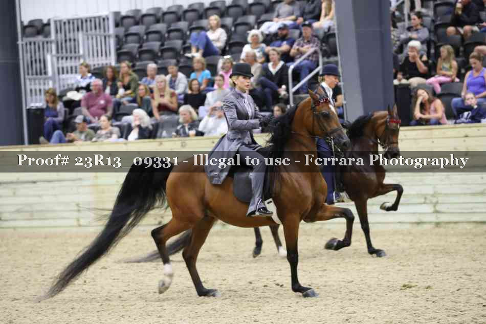 Proof 23R13_09331