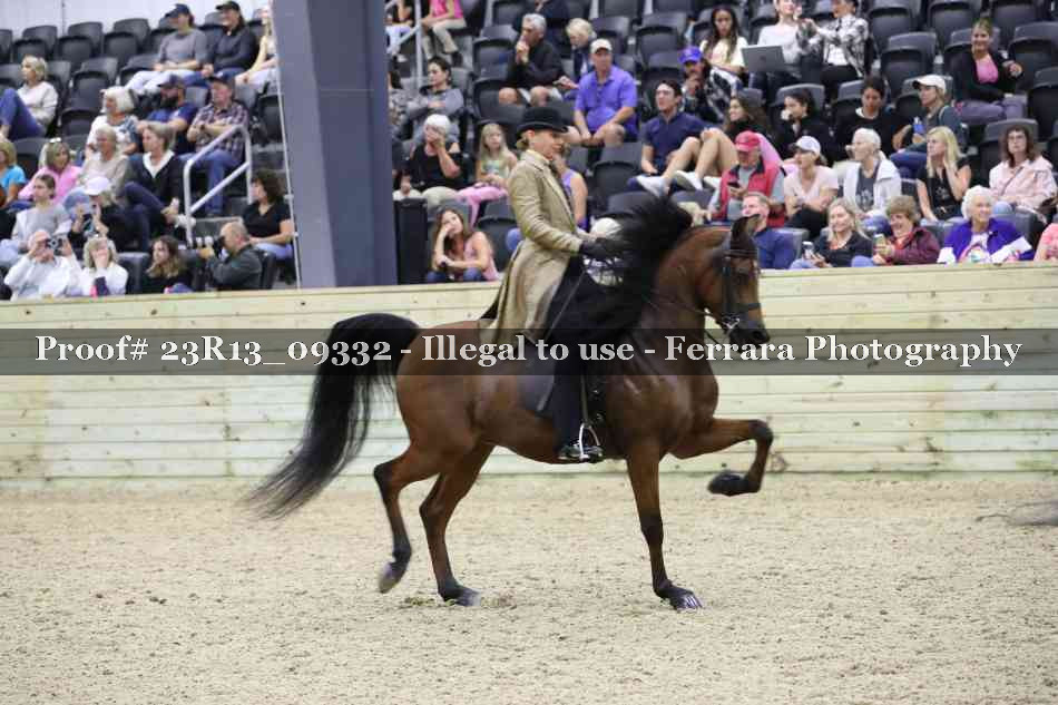 Proof 23R13_09332