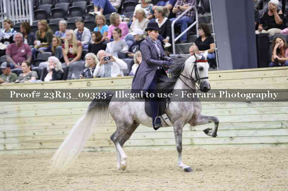 Proof 23R13_09333