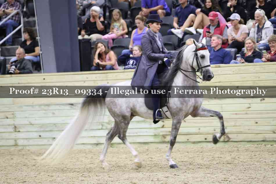 Proof 23R13_09334