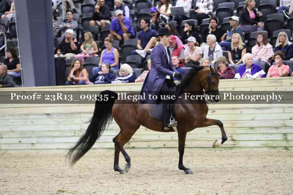 Proof 23R13_09335