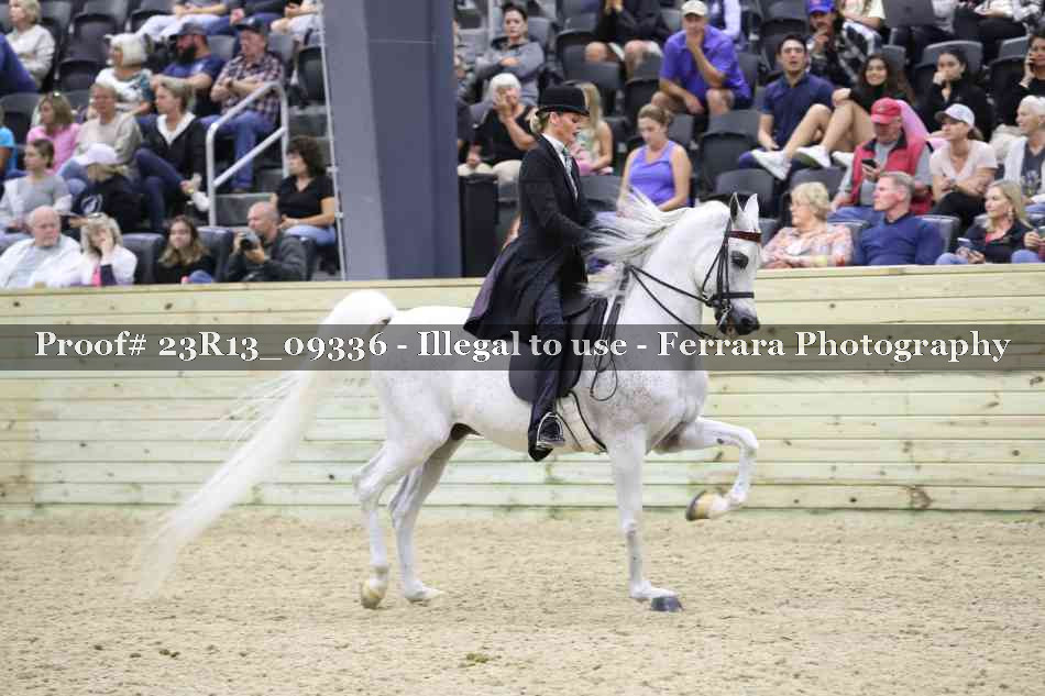 Proof 23R13_09336