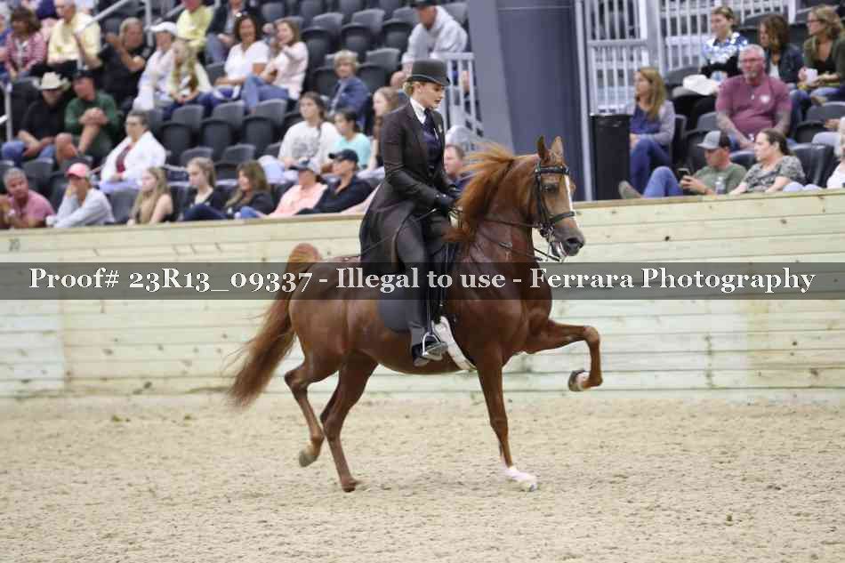 Proof 23R13_09337