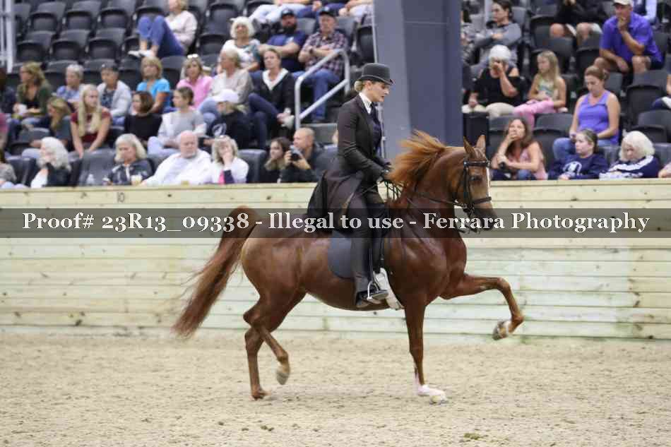 Proof 23R13_09338