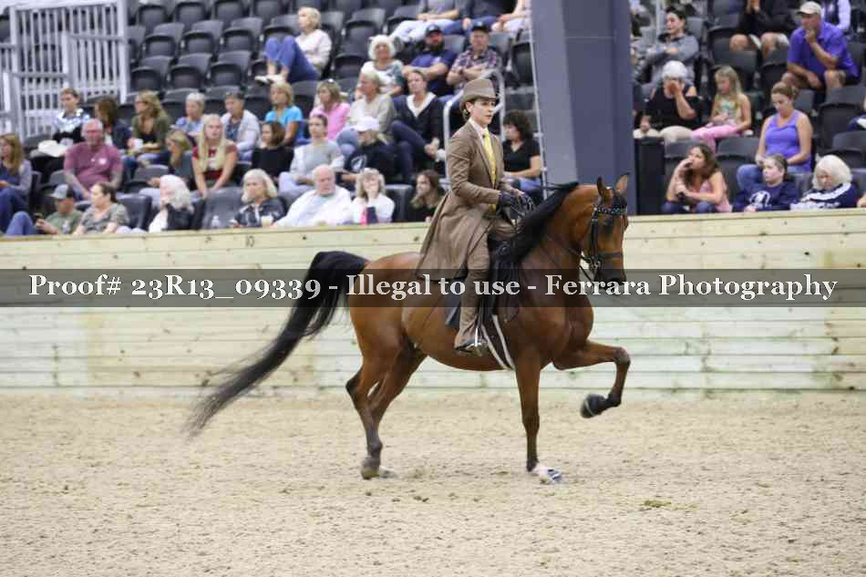 Proof 23R13_09339