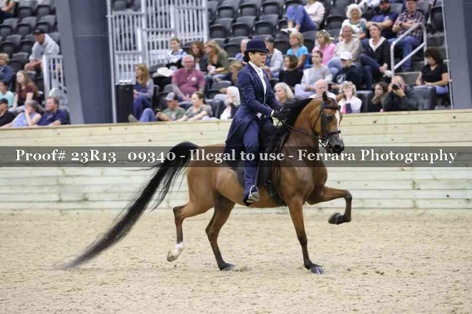 Proof 23R13_09340