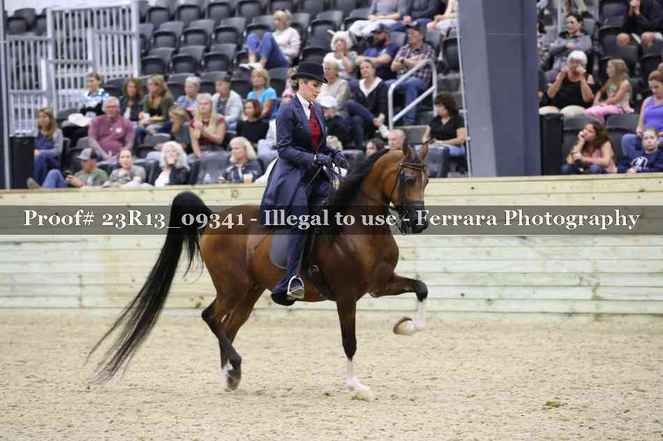 Proof 23R13_09341