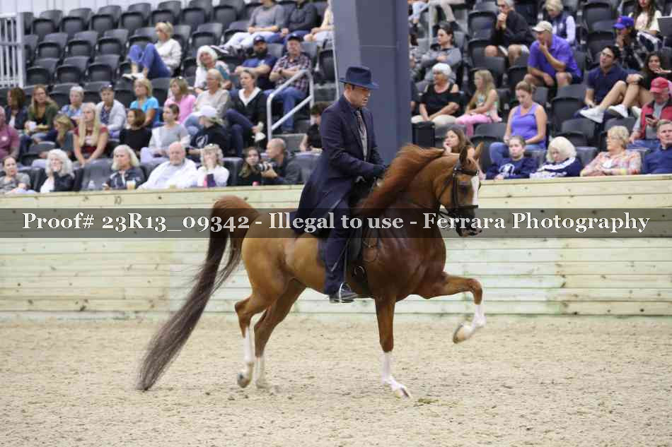Proof 23R13_09342