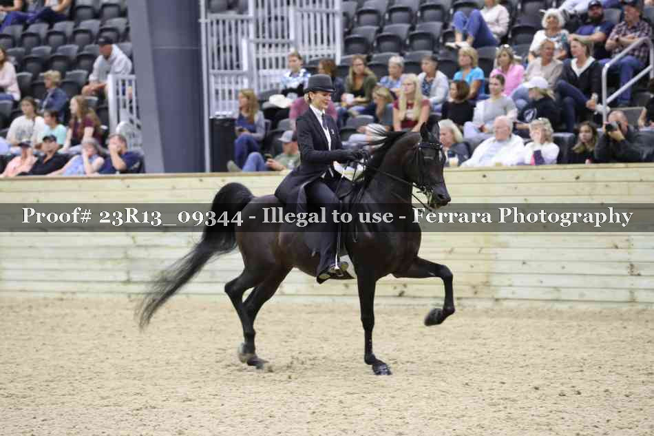Proof 23R13_09344